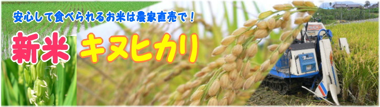 お米通信販売／お米キヌヒカリは減農薬疎植栽培で農家直送