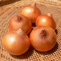 綺麗な吊り玉ねぎ